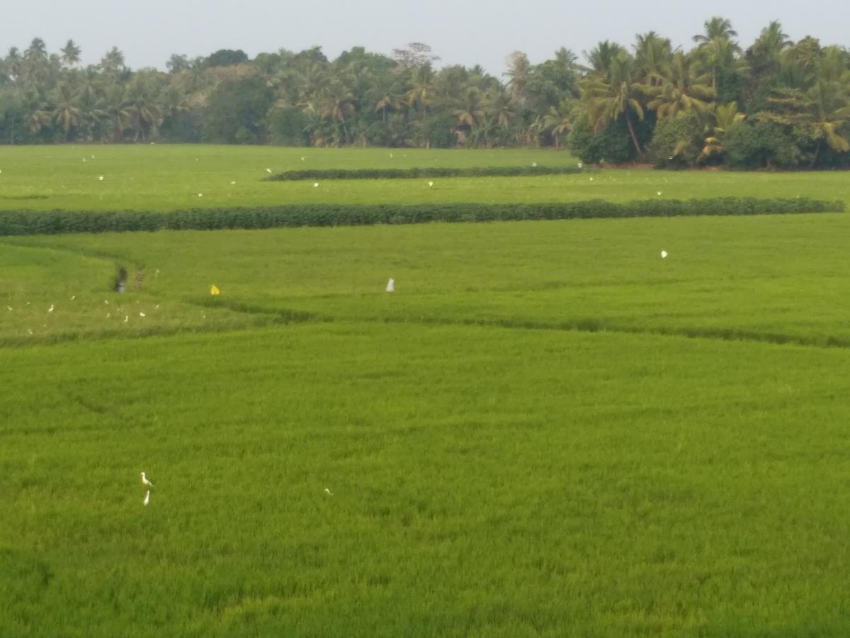 Beach Paradise Alappuzha Exterior photo